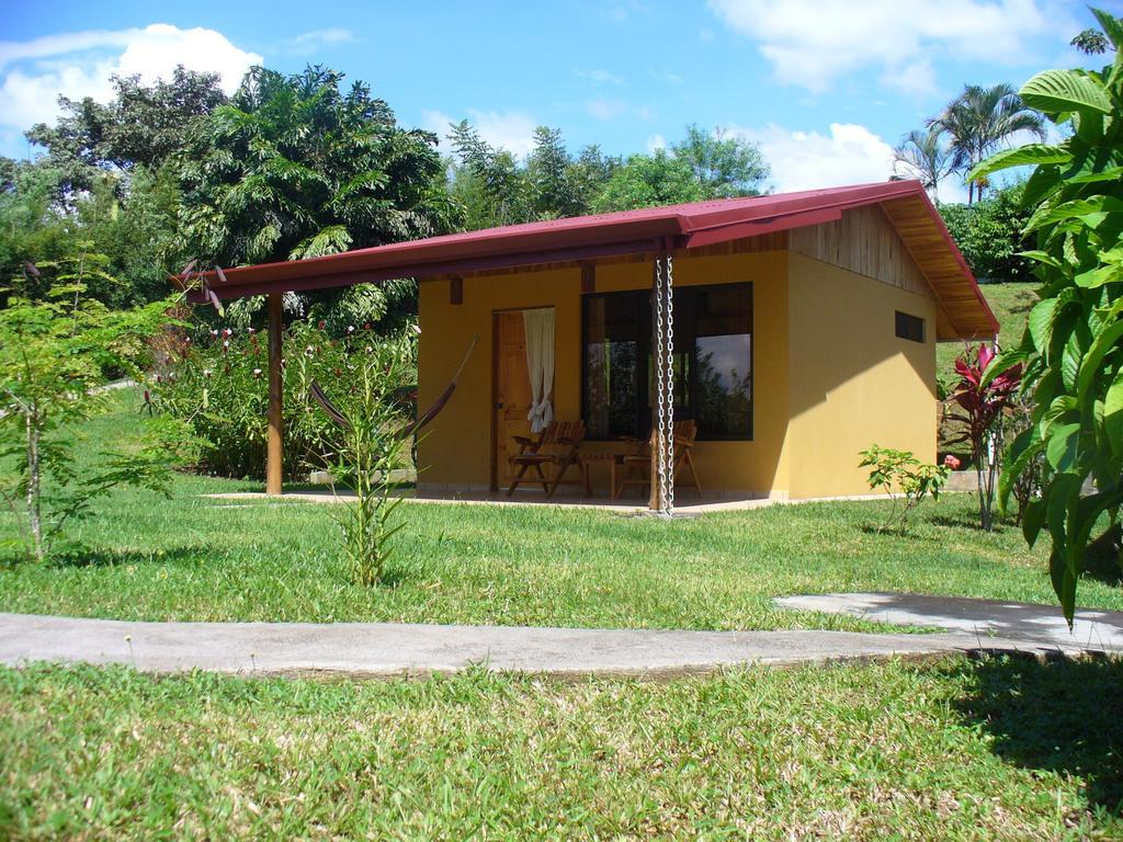 El Paraiso Verde B&B Atenas Rom bilde