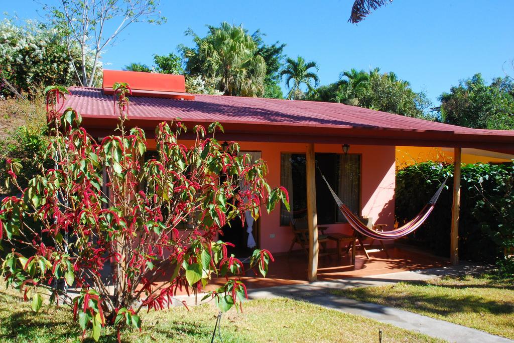 El Paraiso Verde B&B Atenas Rom bilde