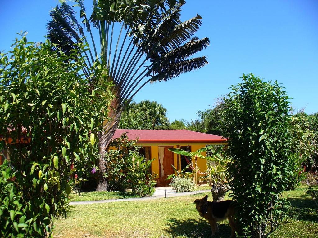 El Paraiso Verde B&B Atenas Rom bilde